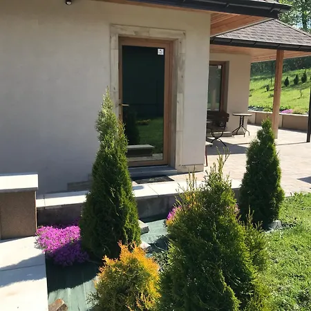 - Veri 1 俄斯特拉发